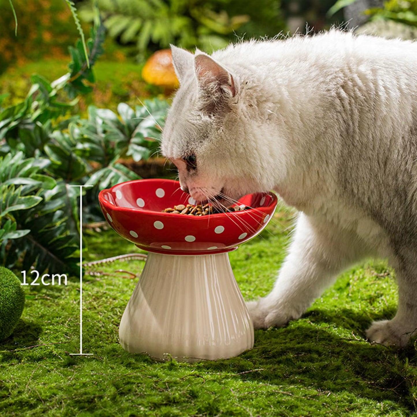 6 Inch Mushroom Cat Bowl Ceramic Elevated Shelf, Beard Friendly Raised Cat Food Bowl for Food & Water for Flat Inclined Cat Plat