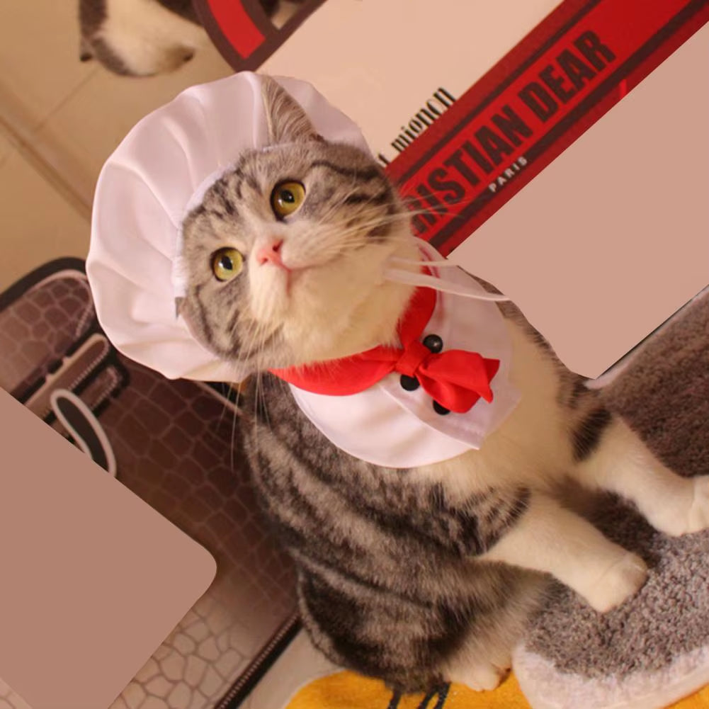 Pet Cooking King Hat Chef Hat Set Cat Dog Transformation Dress Cute Photo Decoration Hat Dog Costume Dog Hat Pet Accessories