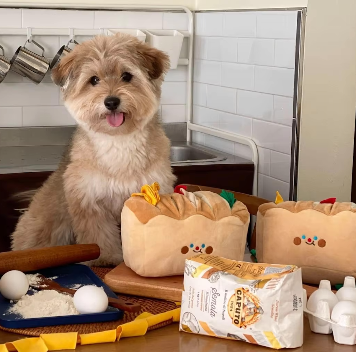 Bread Loaf Snuffle Toy