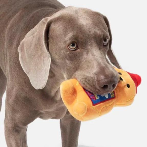 Honey Bear Squeaky Toy