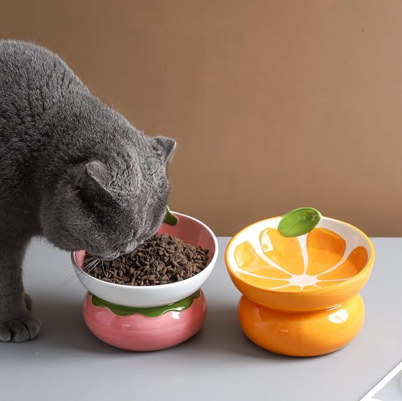 Fruit Food & Water Bowls