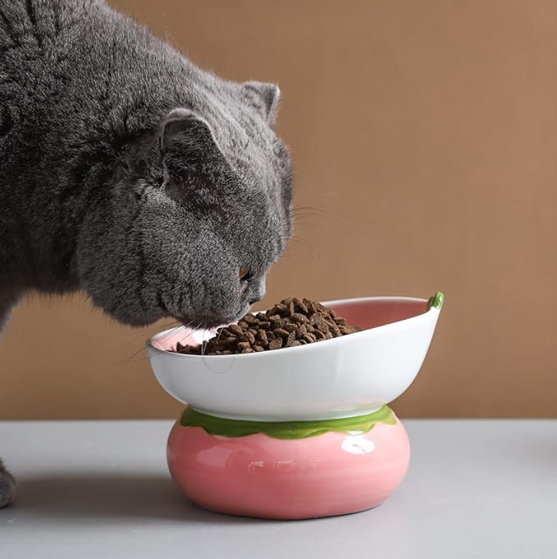 Fruit Food & Water Bowls