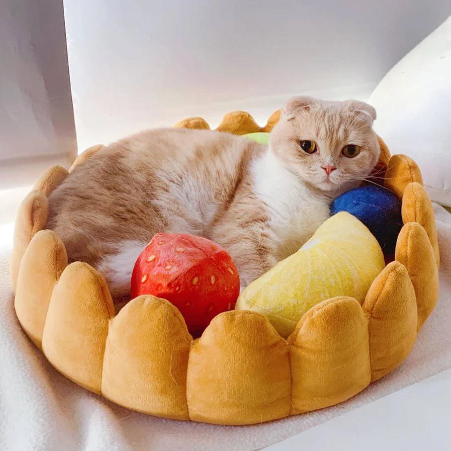 Fruit Tart Pet Bed