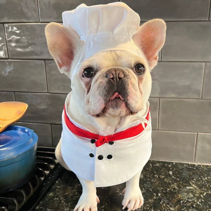 Pet Chef Hat & Jacket Set