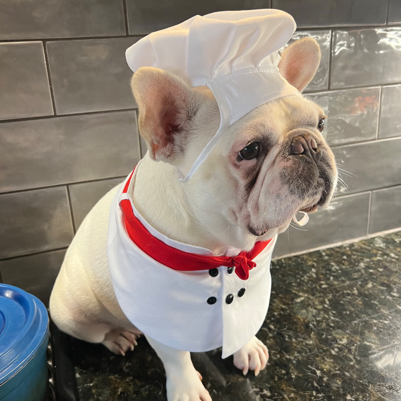 Pet Chef Hat & Jacket Set