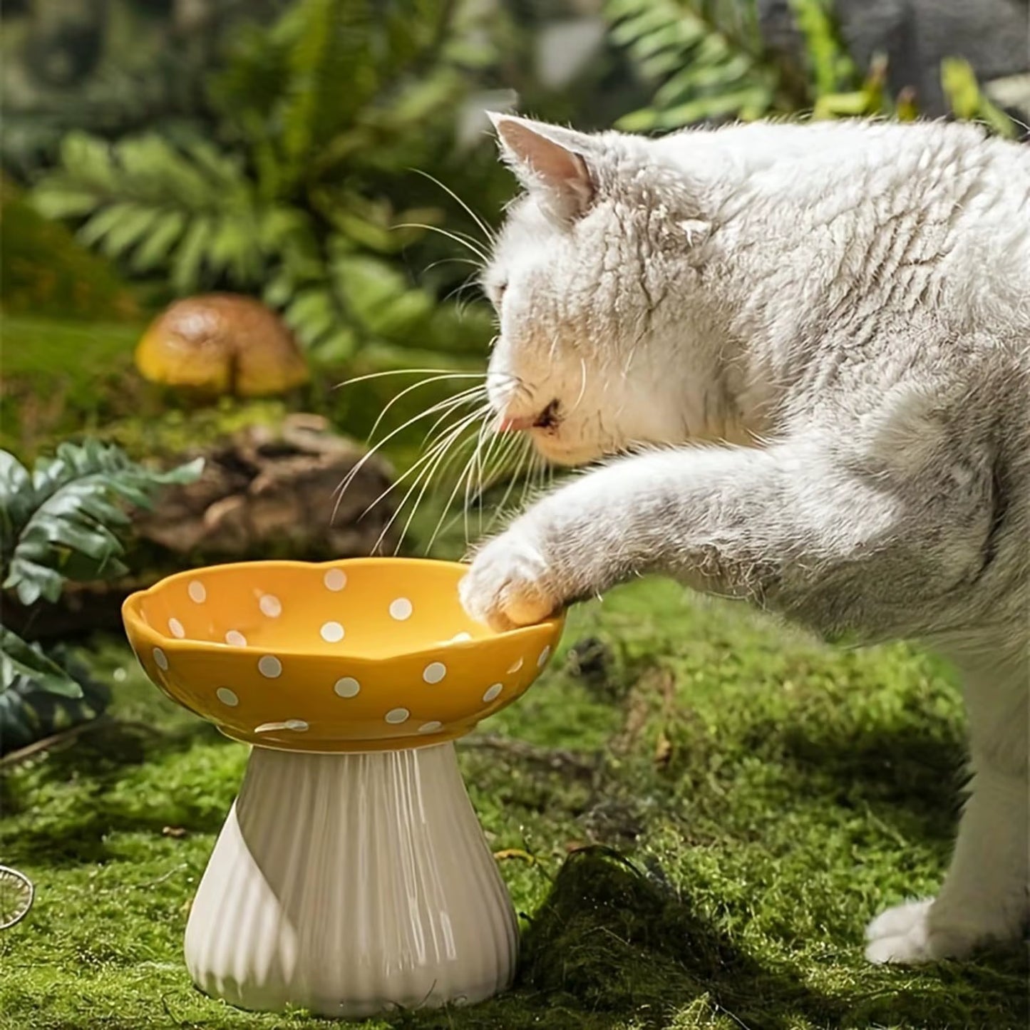 6 Inch Mushroom Cat Bowl Ceramic Elevated Shelf, Beard Friendly Raised Cat Food Bowl for Food & Water for Flat Inclined Cat Plat