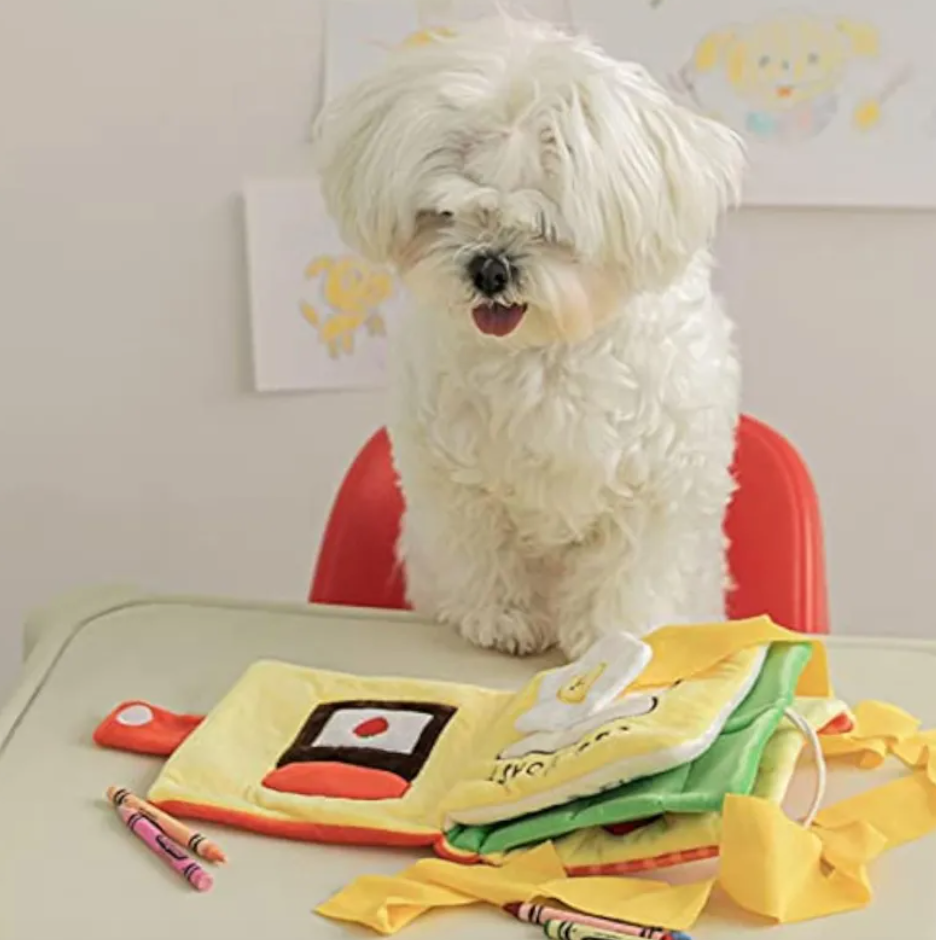 Lunch Time Snuffle Book