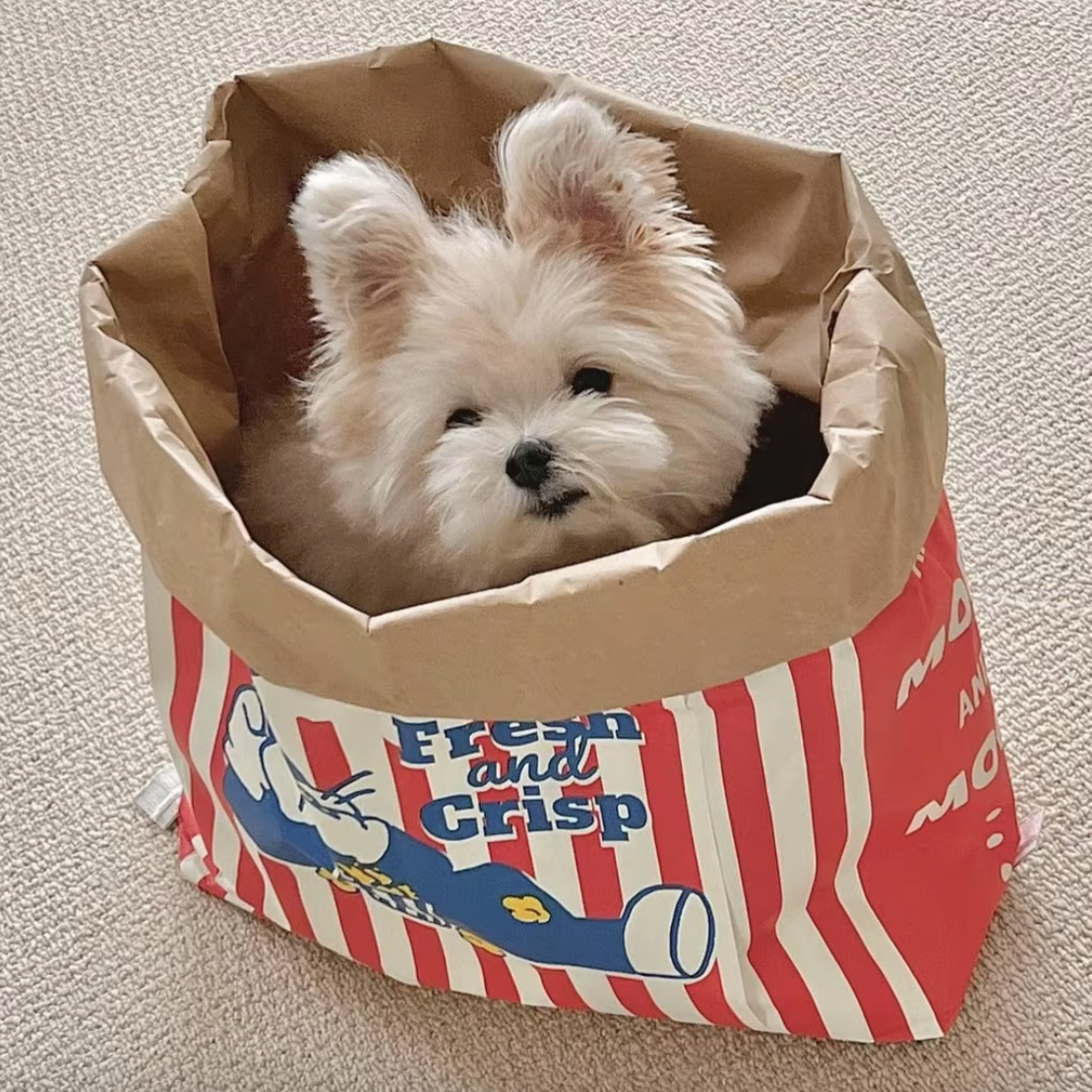 Popcorn Bag Hideout