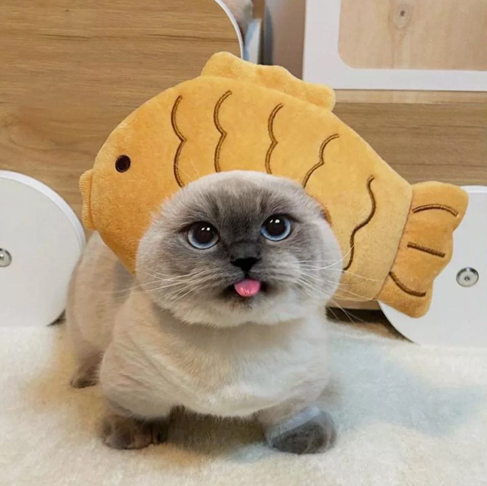 Taiyaki Hat