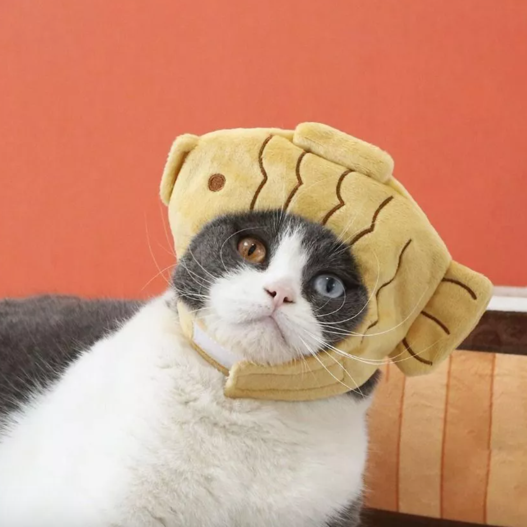 Taiyaki Hat