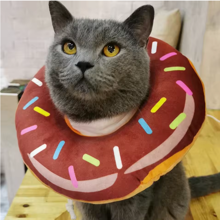 Adjustable Donut Pet Cone