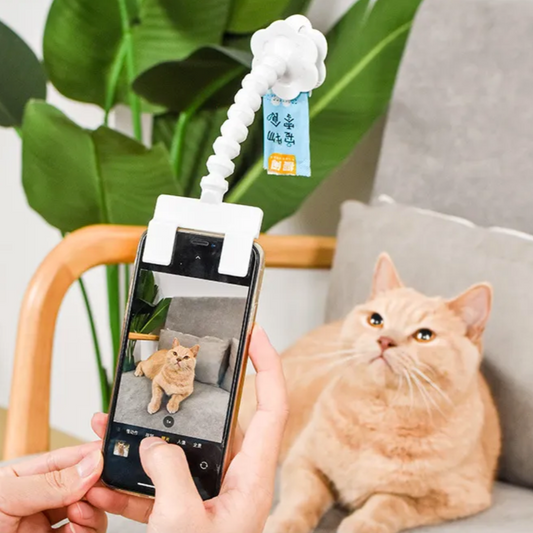 Pet Selfie Stick