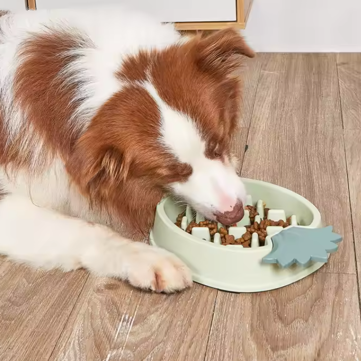 Pineapple Slow Feeder Bowl