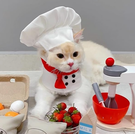 Pet Chef Hat & Jacket Set