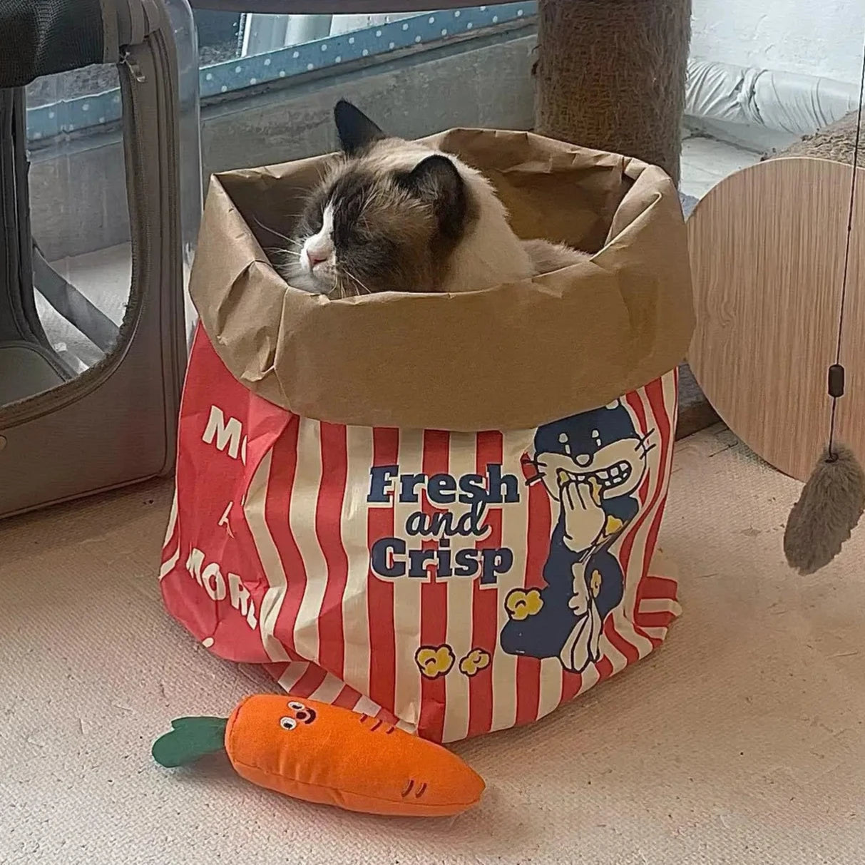 Popcorn Bag Cat Hideout