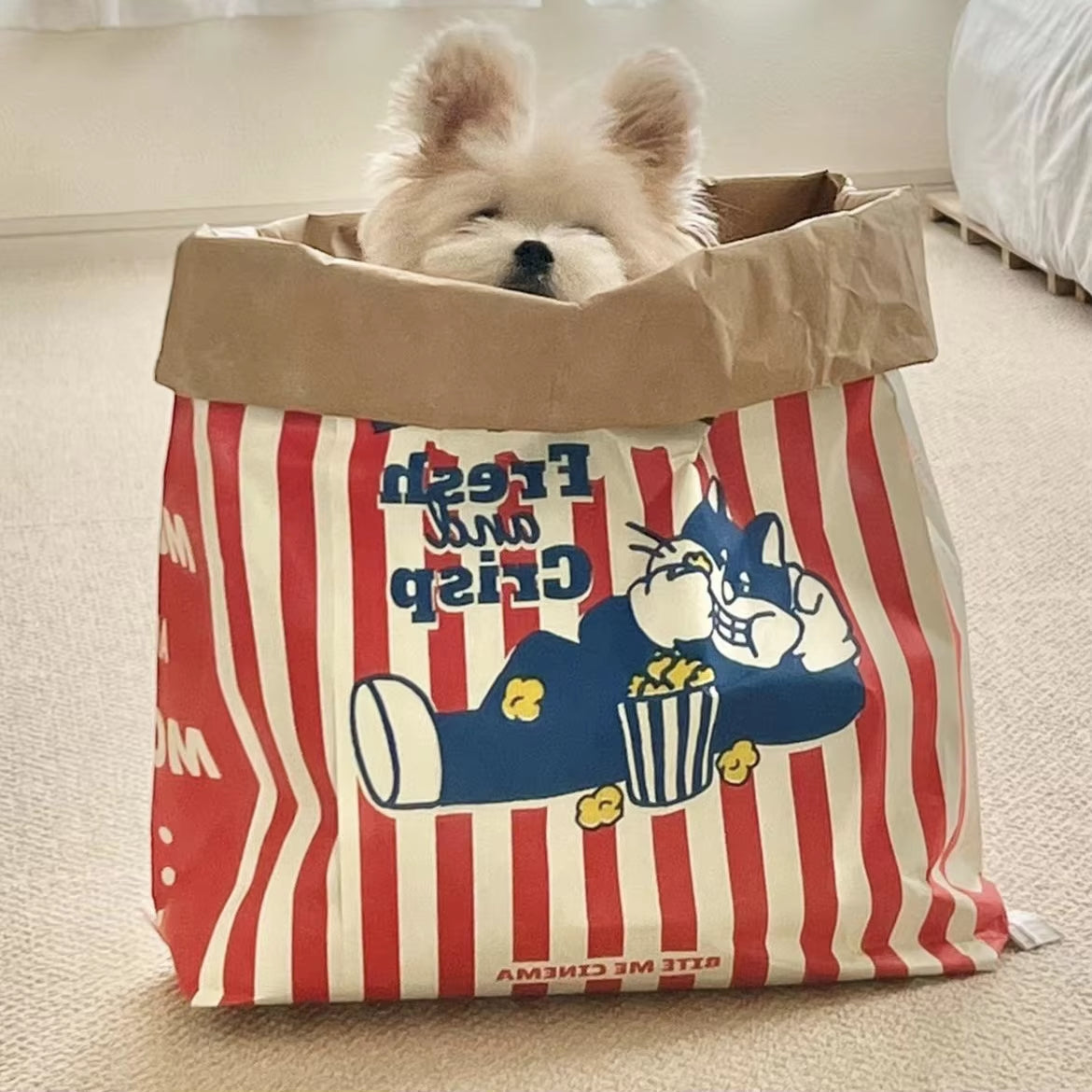 Popcorn Bag Cat Hideout